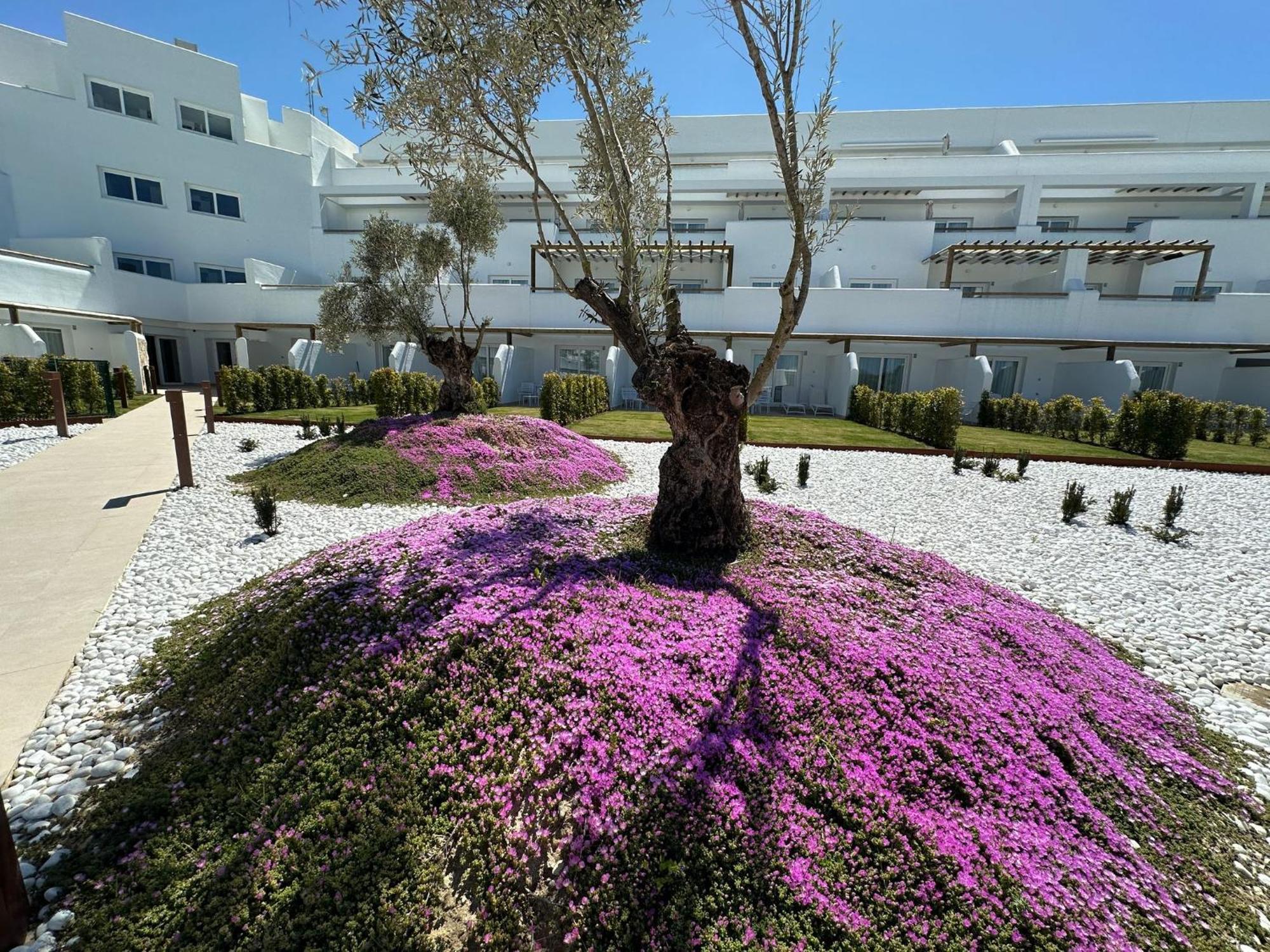 Punta Candor Suites Rota Exterior foto
